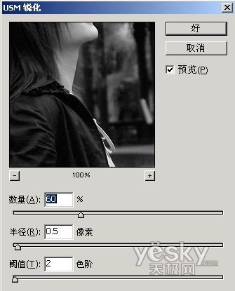 数码照片的Photoshop清晰化处理漫谈(图五)