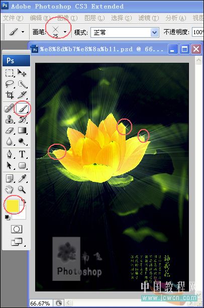 Photoshop教程:打造一朵金色莲花
