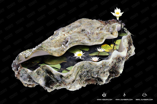 Photoshop图片合成教程二--生命的孕育