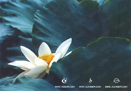 Photoshop图片合成教程二--生命的孕育