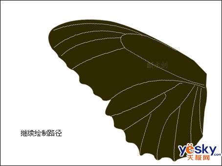 Photoshop鼠绘美丽的彩色蝴蝶3
