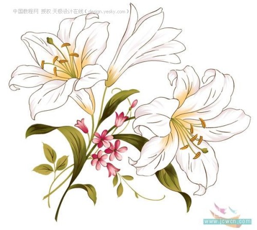 Photoshop自定义卷曲花纹笔刷
