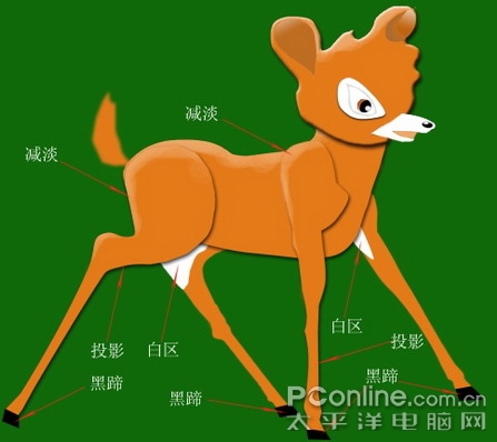 Photoshop画笔教程绘制活泼灵动的梅花鹿(5)