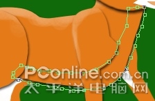 Photoshop画笔教程绘制活泼灵动的梅花鹿(5)