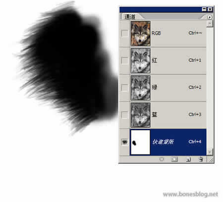 Photoshop另类抠图法之无招胜有招