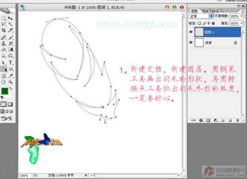 PS简单制做漂亮的羽毛(图二)