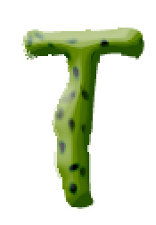 Photoshop滤镜打造带刺的仙人掌文字特效