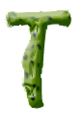 Photoshop滤镜打造带刺的仙人掌文字特效