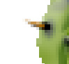 Photoshop滤镜打造带刺的仙人掌文字特效