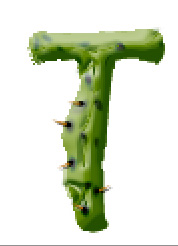 Photoshop滤镜打造带刺的仙人掌文字特效