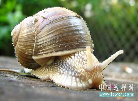 Photoshop合成教程：打造公路上狂奔的蜗牛