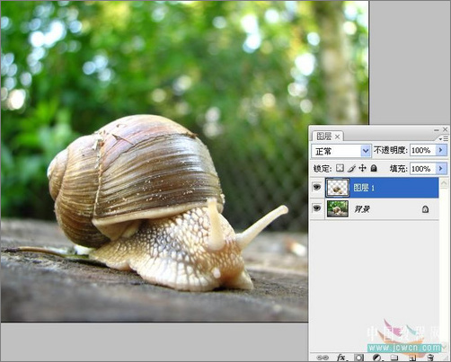 Photoshop合成教程：打造公路上狂奔的蜗牛