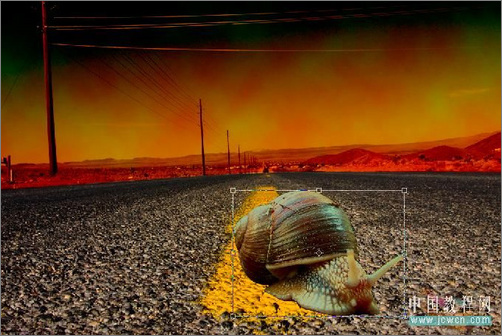 Photoshop合成教程：打造公路上狂奔的蜗牛