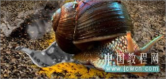 Photoshop合成教程：打造公路上狂奔的蜗牛