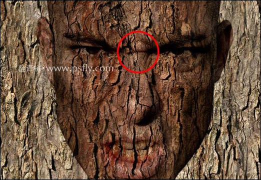 Photoshop合成科幻片中的树人魔怪