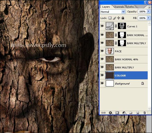 Photoshop合成科幻片中的树人魔怪