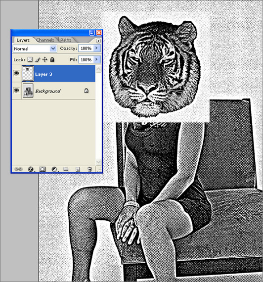 Photoshop设计丝网印刷人身虎头海报