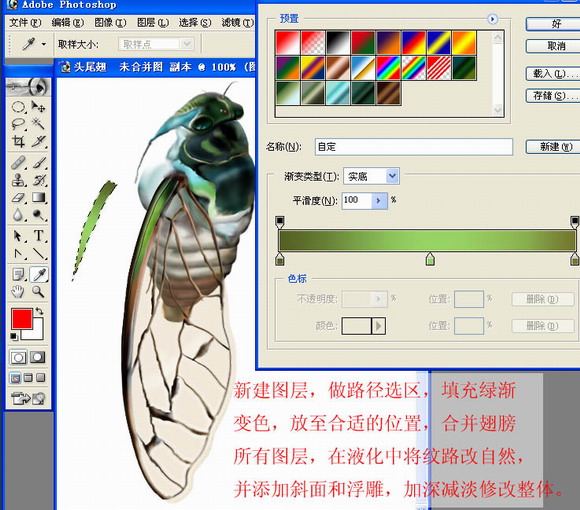 Photoshop绘制一只真实的蝉