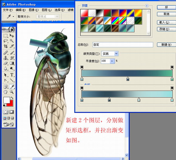 Photoshop绘制一只真实的蝉
