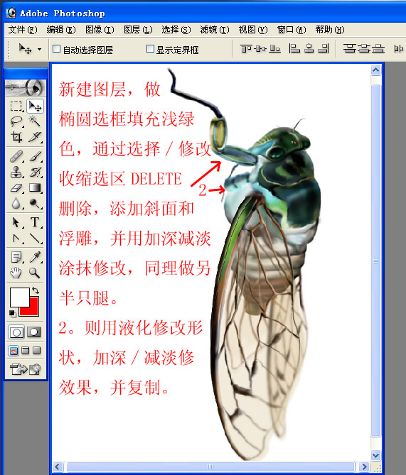 Photoshop绘制一只真实的蝉