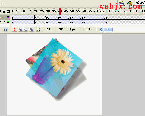 练习：Flash 8 制作超酷的阴影图片特效