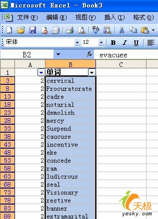 Excel技巧
