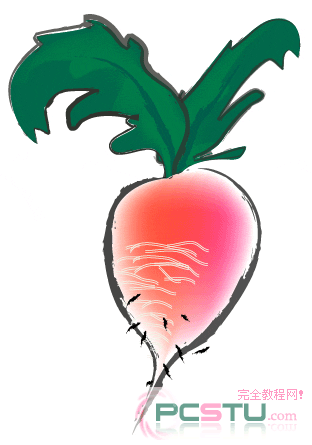 AdobeIllustrator绘制萝卜（图十二）