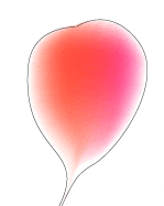 AdobeIllustrator绘制萝卜（图四）