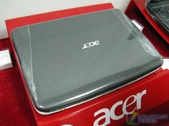 acer acer