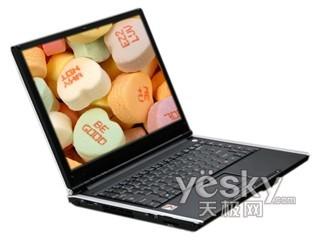 谁是救命稻草08一季度新品笔记本报告(6)