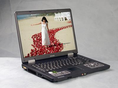 谁是救命稻草08一季度新品笔记本报告(4)