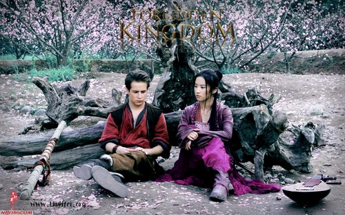 电影《功夫之王》壁纸下载 宽屏壁纸 