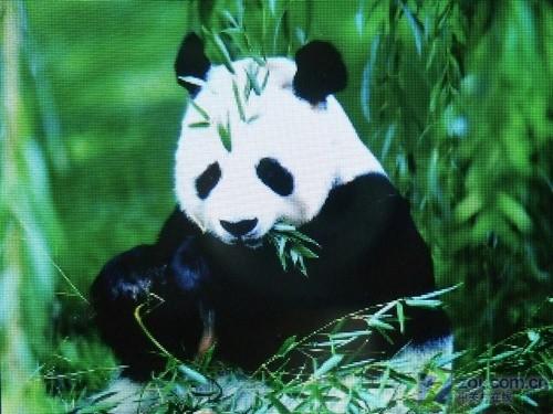 昂达重拾RK方案 RMVB直播机VX979LE简评 重拾RK方案昂达RMVB直播机VX979评测(5)