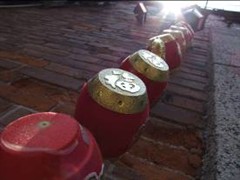 剑指入门单反 富士S100FS实拍手记
