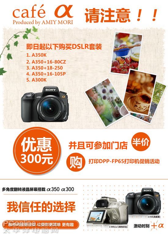 优惠连连 索尼单反现金优惠300还送彩打