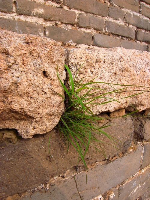 单反备用机 理光超广角GX200实拍样片赏 