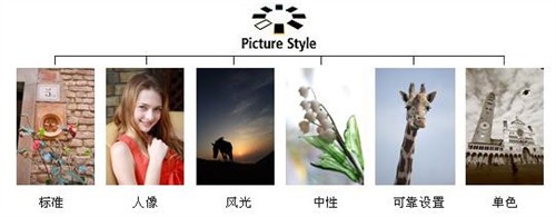 全国首发 佳能单反新丁1000D深度详测
