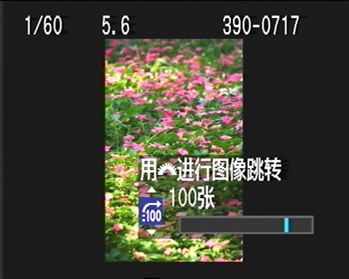全国首发 佳能单反新丁1000D深度详测