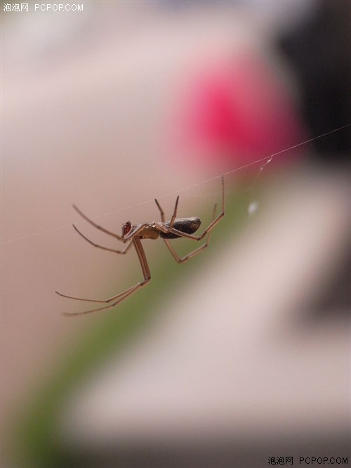 为专业人士打造的小DC&nbsp;理光GX200评测