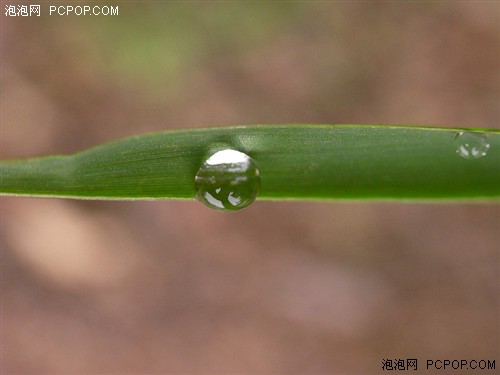 为专业人士打造的小DC&nbsp;理光GX200评测