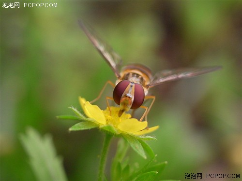 为专业人士打造的小DC&nbsp;理光GX200评测