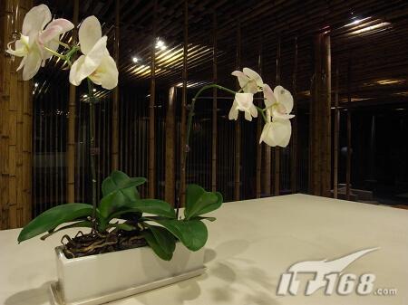 便携专业DC头把交椅理光GX200评测(12)