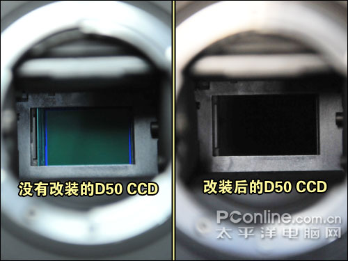 尼康D50_红外摄影