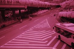 尼康D50红外照片