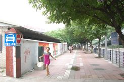 尼康D50未改照片