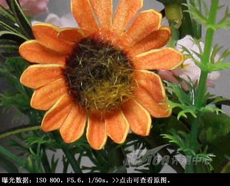 重新定义入门单反佳能EOS1000D评测(8)