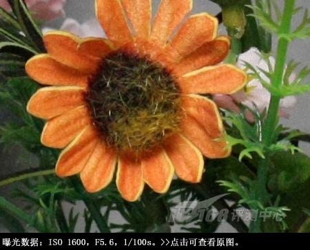 重新定义入门单反佳能EOS1000D评测(9)