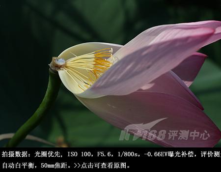 重新定义入门单反佳能EOS1000D评测(12)