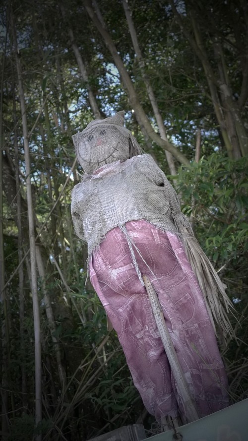24mm/F2的性感 松下LX3香港实拍图集