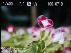 以画质取胜入门单反佳能1000D深度评测(7)